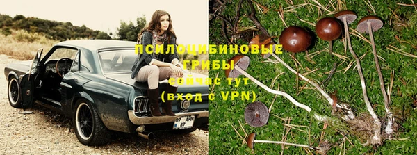 МДПВ Вяземский