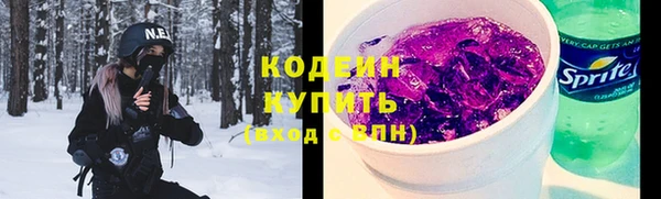 МДПВ Вяземский