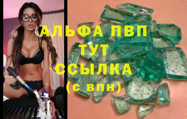 шишки Волосово