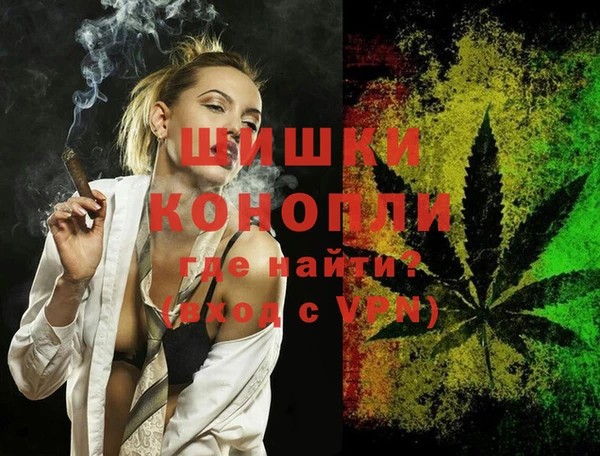 шишки Волосово