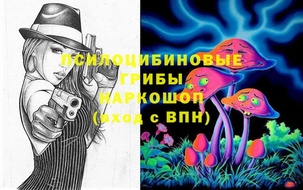 МДПВ Вяземский