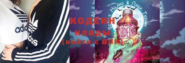 МДПВ Вяземский