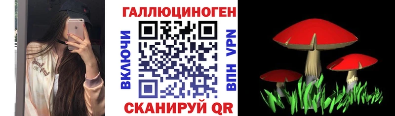 Галлюциногенные грибы Cubensis  Кандалакша 